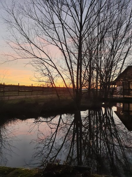 Pension Écurie des cimes - photo 3
