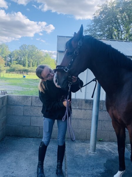 Les Écuries d’Urly pension pour chevaux