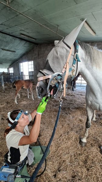 Ecurie de Candor - photo 3