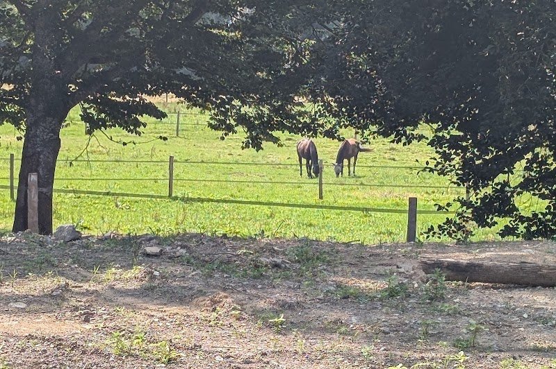 Les Écuries de Villevieille - photo 2