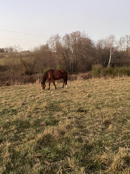 Les Écuries de Villevieille - photo 3