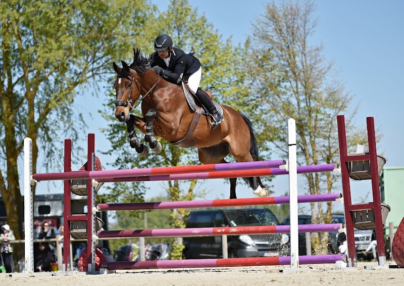 Club Hippique Hippos - photo 2