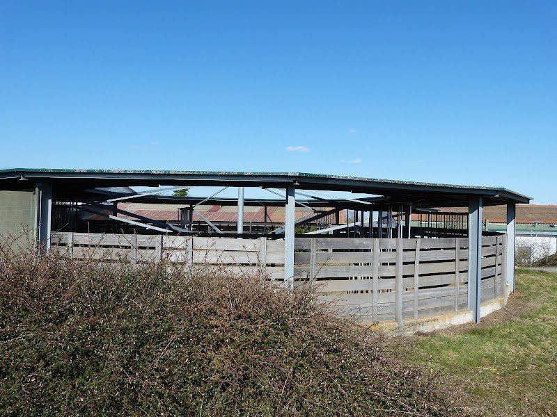 Écurie CS JUMP - photo 3