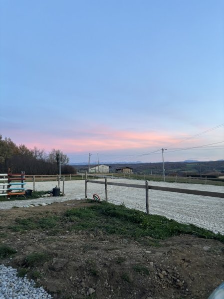 Ecurie d'Hauterives - photo 2