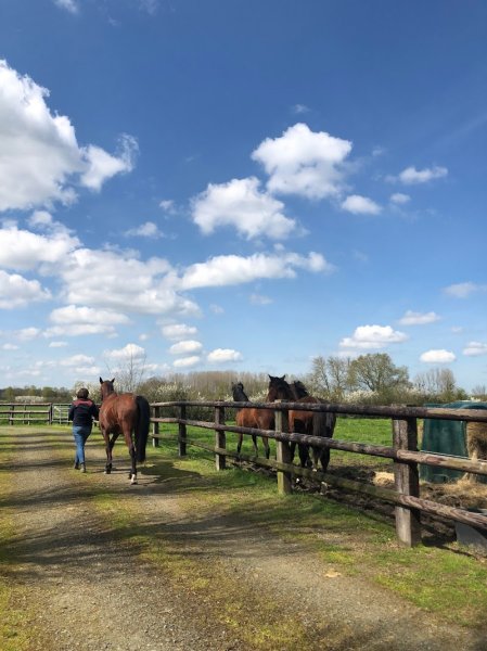 Écurie les Vaux - photo 1