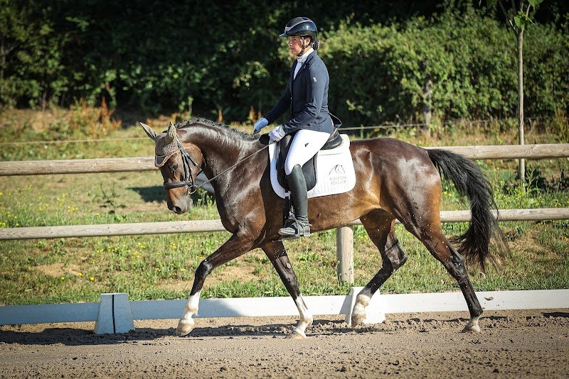 Haras des halliers - photo 2