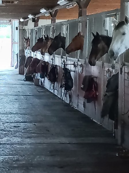 Écuries de Mélandrie - photo 1