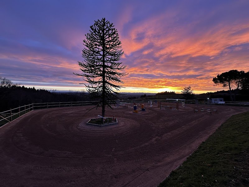 ECURIE Tom FRADIN (T.F.) - photo 2