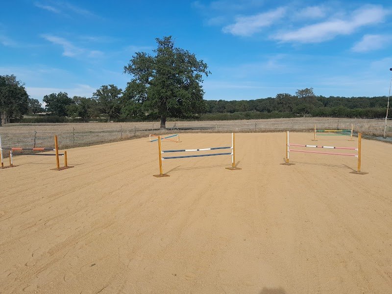 Les écuries Gyptis - photo 3