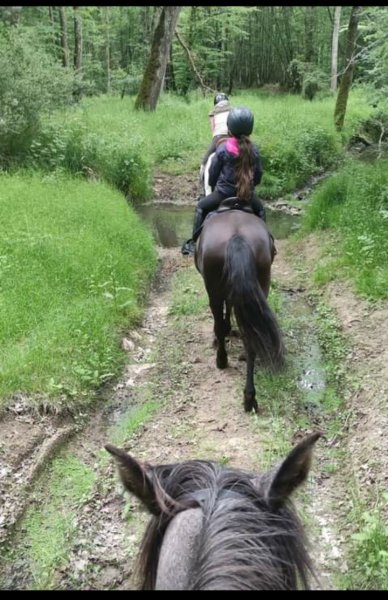 Écuries du bien être