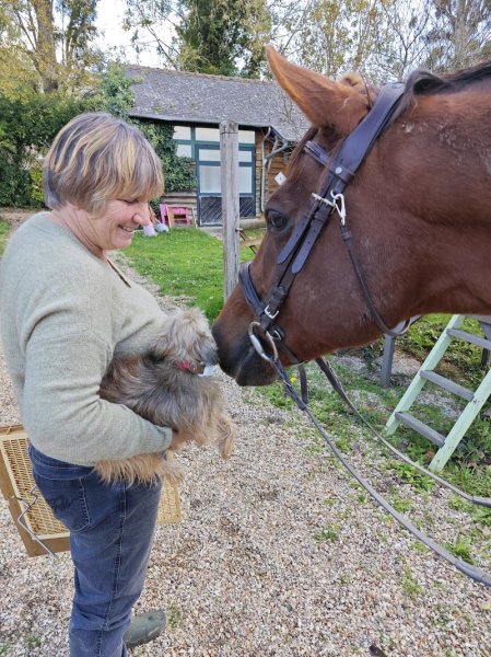 Earl ferme Equestre et Pédagogique du Haras de la prairie - photo 3