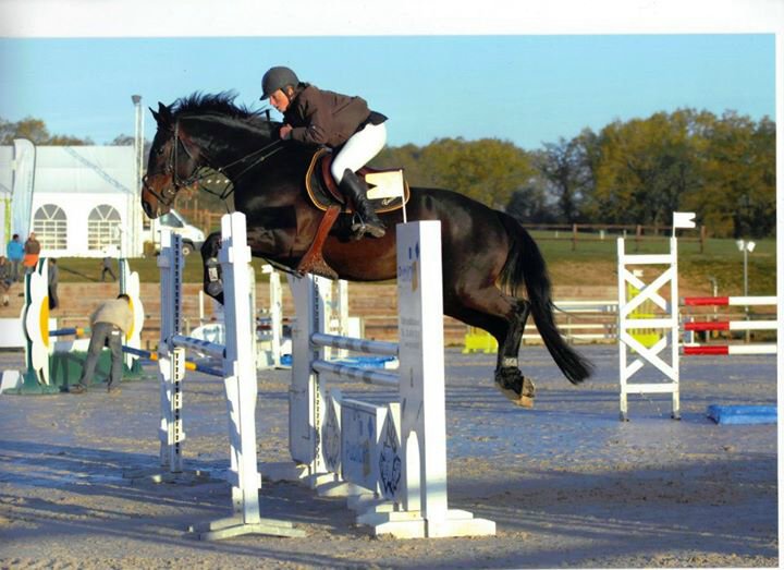 Ecurie de couronne - photo 2