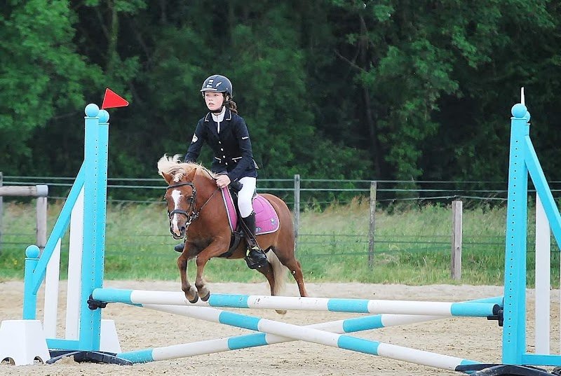 Ecurie de couronne - photo 3