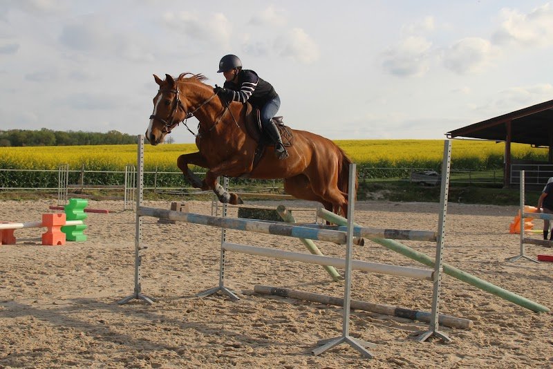 Les écuries de Villaire