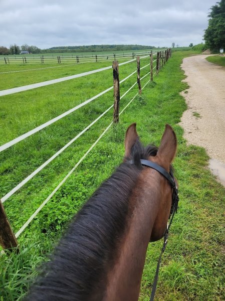 Les écuries de Villaire - photo 3
