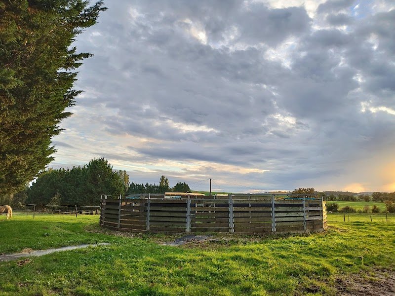 Écurie fleuriet - photo 3