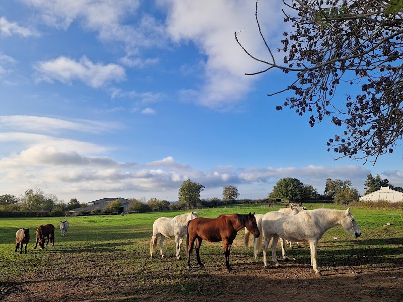 Les Cavaliers Des Combrailles
