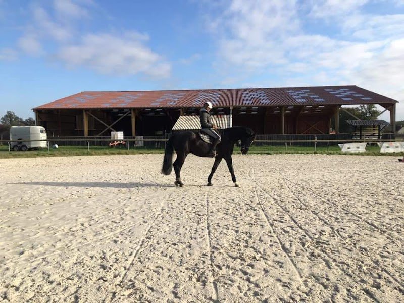 Centre Equestre Le Fleuriel EARL - photo 3