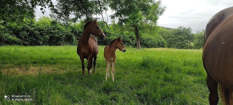 les Écuries de valoire - photo 3