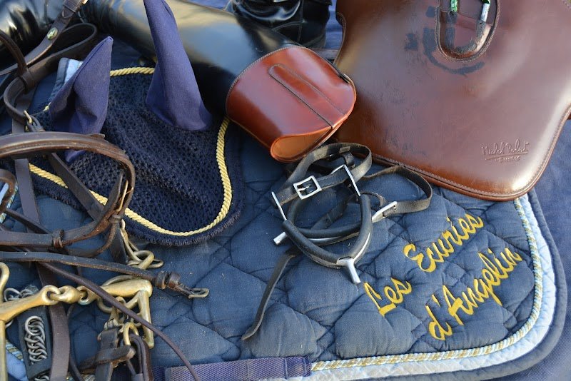 Les Ecuries d'Angelin - photo 1