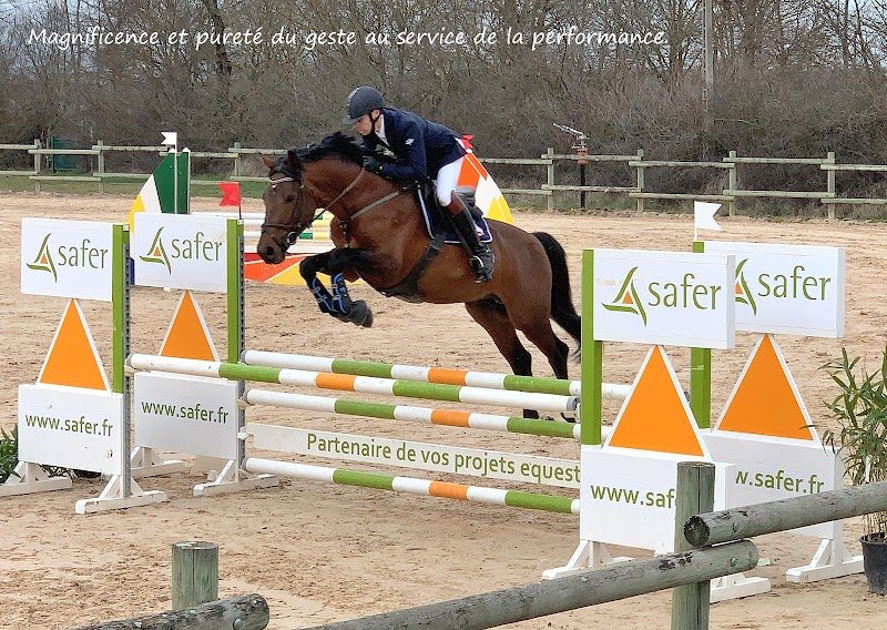 Les Ecuries d'Angelin - photo 2