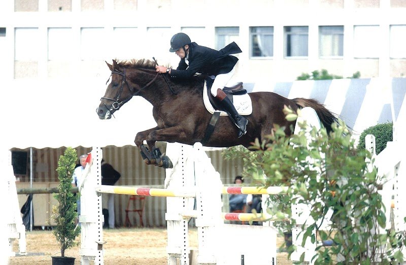 Les Ecuries d'Angelin - photo 3