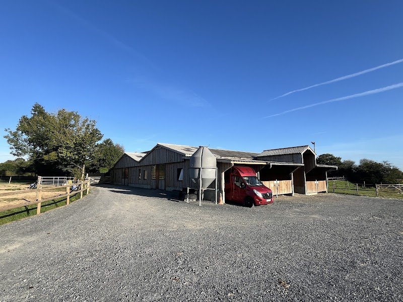 Pension chevaux - photo 1