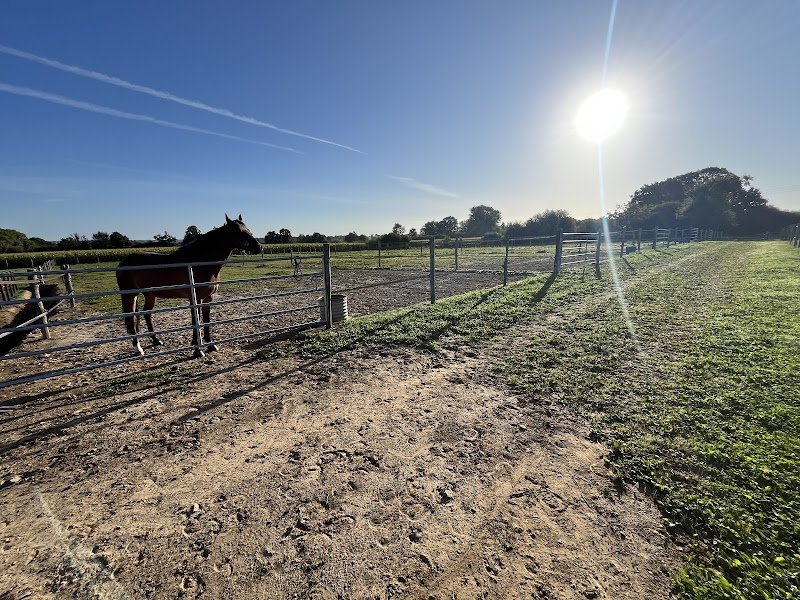 Pension chevaux - photo 2