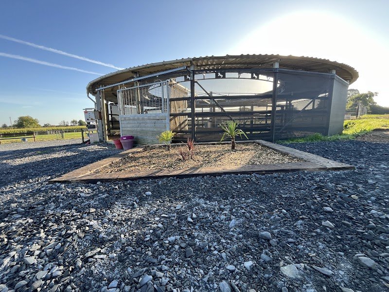 Pension chevaux - photo 3