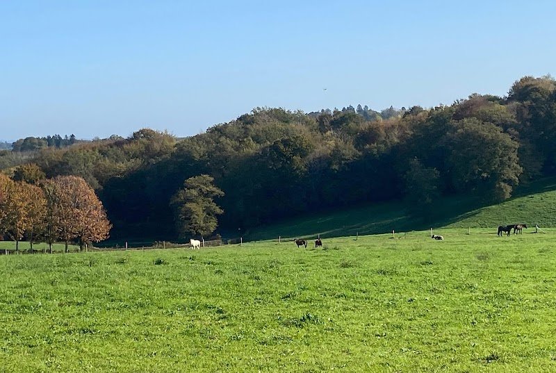 L'écurie des 3 Saints - photo 1