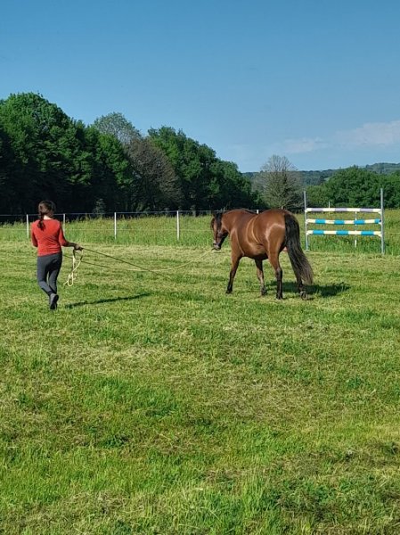 L'écurie des 3 Saints - photo 2