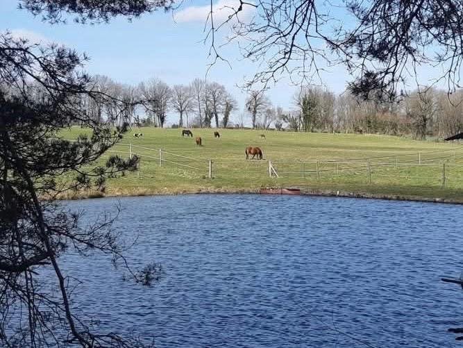 L'écurie des 3 Saints - photo 3