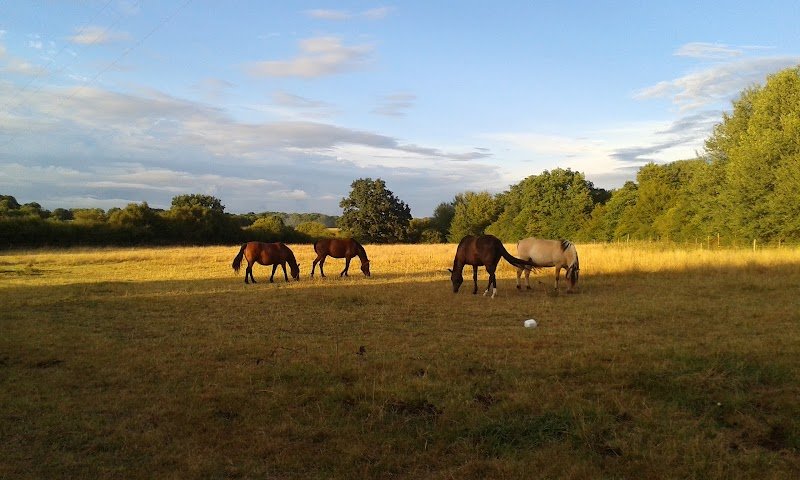 Ecuries des 3 Sources - photo 1