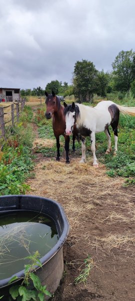 Ecurie de la Roche Volvic - photo 3
