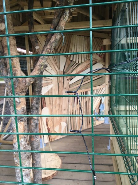 Pension - La boire de Pinots - photo 1