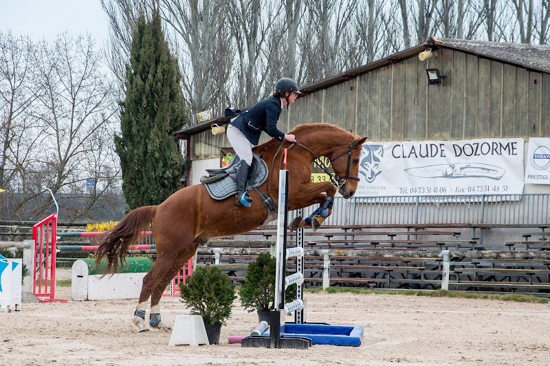 Écurie Laura Domaizon - photo 2