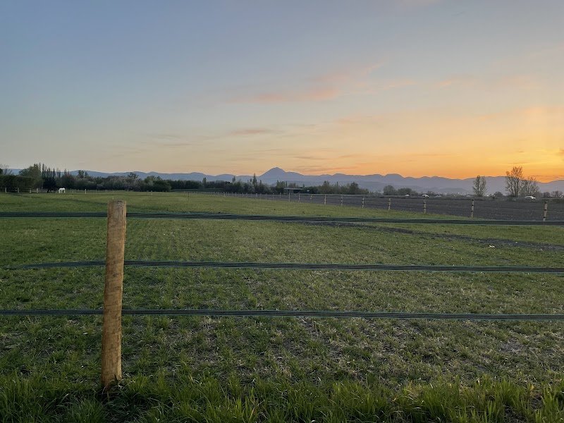 Écurie Laura Domaizon - photo 3