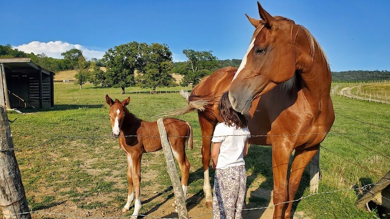 Haras De Sorne - photo 2