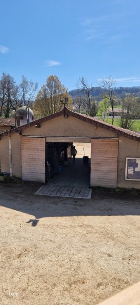 Haras De Sorne - photo 3