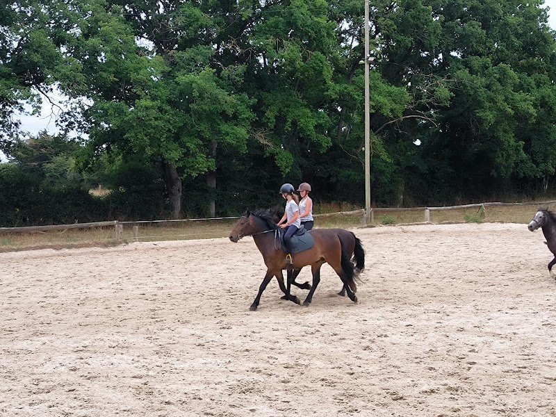 Les Écuries Du Loup Bonnaudet Gaelle - photo 1