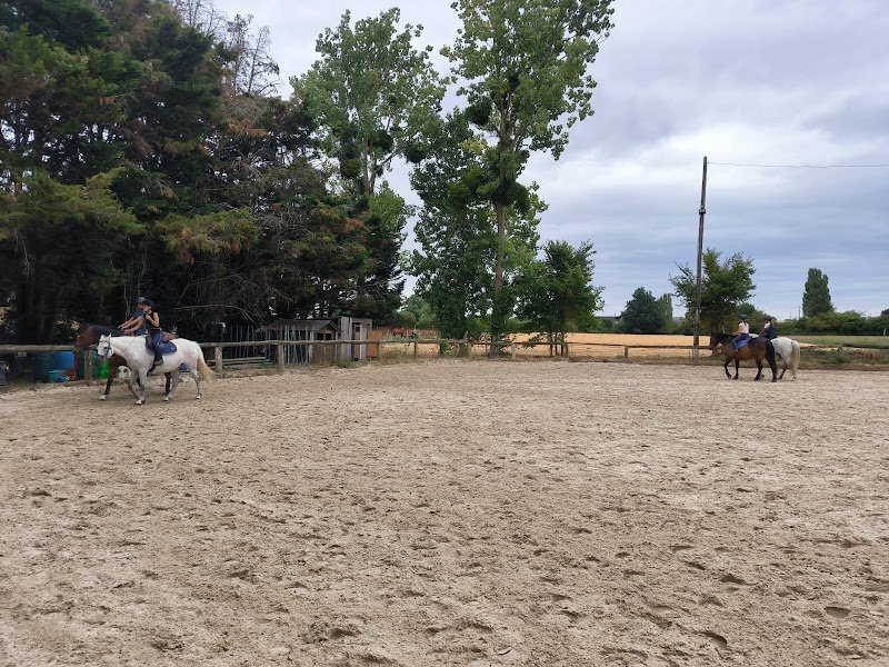Les Écuries Du Loup Bonnaudet Gaelle - photo 2
