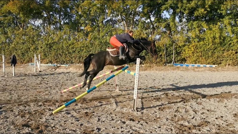 Écurie Caval D'allier