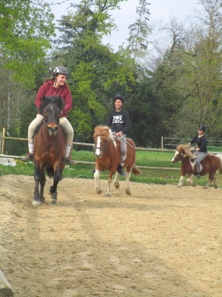 Centre équestre du Treuil - Financière Montel - photo 1