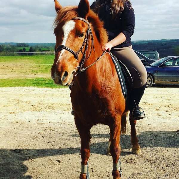 Centre équestre du Treuil - Financière Montel - photo 2