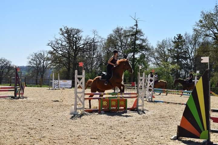 Centre équestre du Treuil - Financière Montel - photo 3