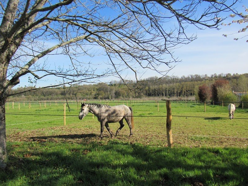 Écurie du Moulin de Chaume - photo 2
