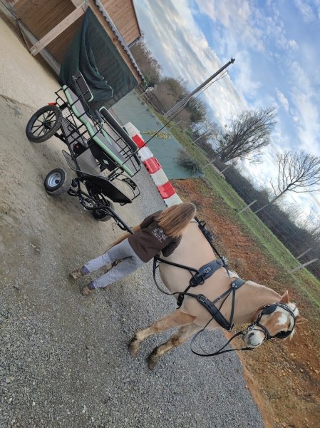 Écurie du Moulin de Chaume - photo 3