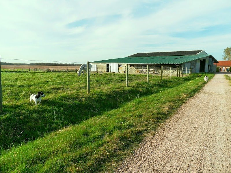 Pension Chez La Louve - photo 1