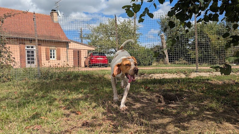 Pension Chez La Louve - photo 2