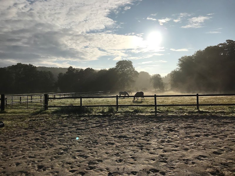 Écurie de la Cance - photo 1